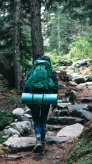 Hiker Walking Through Misty Forest Adventure Mobile Wallpaper