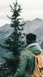 Hiker Looking at Mountain Peaks Overlooking Pine Tree Nature Wallpaper