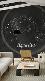Aquarius Zodiac Constellation Minimalist Black and White Aesthetic Wallpaper
