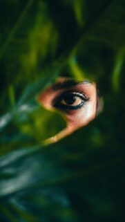 Mysterious Human Eye Peeking Through Lush Green Foliage Wallpaper