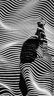 Abstract Artistic Portrait with Optical Illusion Stripes Mobile Wallpaper