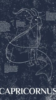 Capricorn Constellation Mythological Goat Aesthetic Wallpaper