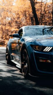 Dark Blue Ford Mustang Sports Car Autumn Road Mobile Wallpaper