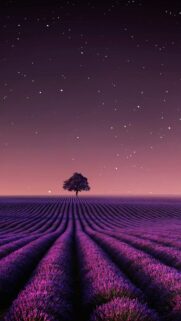 Cosmic Lavender Field Celestial Energy and Manifestation Wallpaper