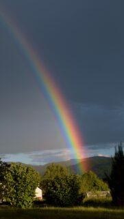 Rainbow Chakra Alignment and Spiritual Manifestation Energy Wallpaper