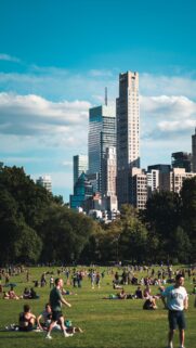 Central Park Skyline Relaxing Summer Day Mobile Phone Wallpaper