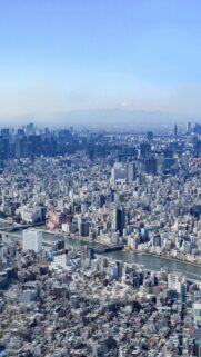 Aerial View of Tokyo Cityscape with Mount Fuji Mobile Wallpaper