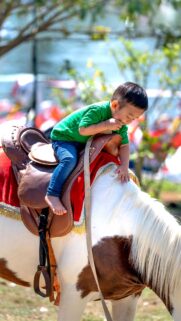 Cute Little Boy Riding a Pony in the Park 4K Mobile Wallpaper
