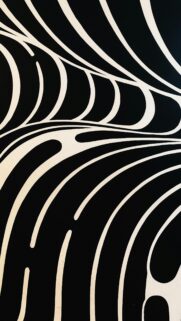 Minimalist Abstract Black and White Flowing Line Art Wallpaper