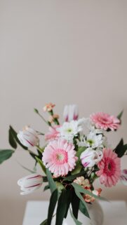 Beautiful Pink Gerbera Daisies and White Tulip Bouquet Wallpaper