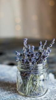 Rustic Lavender Flowers in Glass Jar Aesthetic Mobile Wallpaper
