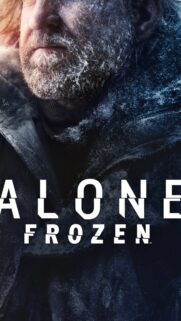 Frozen Aesthetic Winter Landscape Mobile Wallpaper – High Quality 4K Background