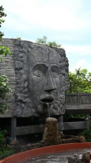 Stone Face Water Fountain Tropical Jungle Theme Mobile Wallpaper