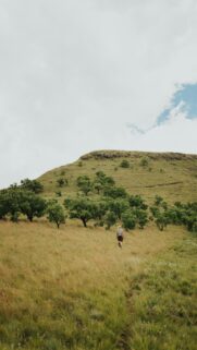 Hiker Walking Through Serene Grassy Mountain Valley Phone Wallpaper