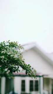 Rainy Day Greenery and Soft Blurred House Aesthetic Phone Wallpaper