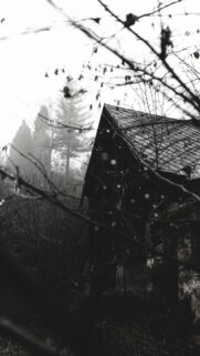 Moody Abandoned Stone House in Misty Forest Mobile Wallpaper