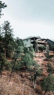 Rustic Mountain Home Nestled in Forest Scenery Mobile Wallpaper