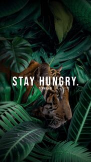 Hungry Aesthetic Wallpaper for Mobile – High Quality Food Illustration & Artistic Designs