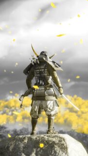 Jin Sakai Ghost of Tsushima 4K Gaming Wallpaper for Mobile | Bestwallpapers.net