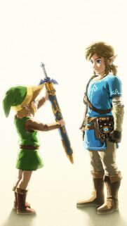 Legend of Zelda Link High Quality 4K Gaming Wallpaper for Mobile | Bestwallpapers.net