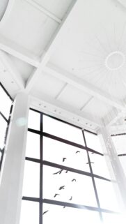 Minimalist High Ceiling Architecture with Birds Mobile Wallpaper