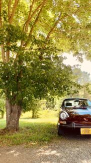 Vintage Maroon Porsche 911 Under Sunlit Maple Tree Mobile Wallpaper
