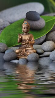 Zen Buddha Meditation and Spiritual Inner Peace Mindfulness Wallpaper