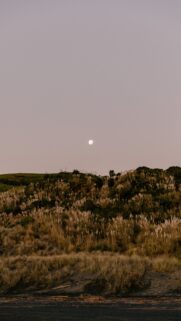 Full Moon Spiritual Energy Serenity and Manifestation Aesthetic Wallpaper