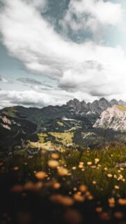 Stunning Dolomite Mountains and Wildflower Meadow Mobile Wallpaper