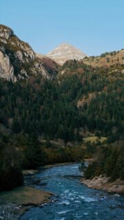 Serene Mountain River and Forest Landscape Mobile Wallpaper