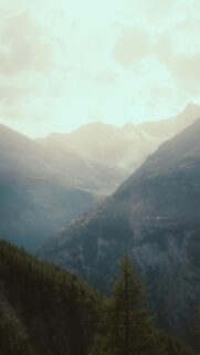 Misty Alpine Mountain Valley Scenic Phone Wallpaper