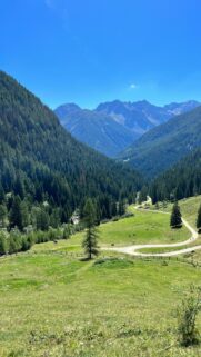 Stunning Alpine Meadow Valley with Mountains HD Mobile Wallpaper
