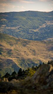 Majestic Mountain Valley Vista Mobile Wallpaper
