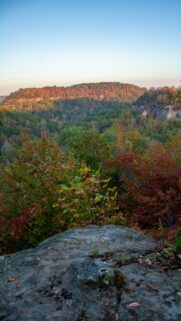 Breathtaking Autumn Forest Valley Overlook Scenic Mobile Wallpaper
