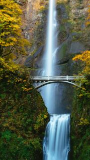 Multnomah Falls Bridge Autumn Forest Waterfall Phone Wallpaper