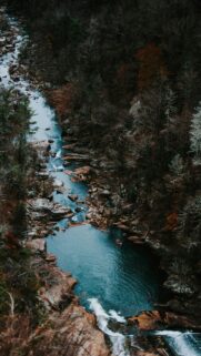 Moody Forest River Gorge Aerial View High Resolution Mobile Wallpaper