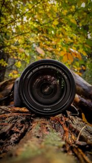 Professional Canon Camera Lens Resting on Forest Bark Wallpaper