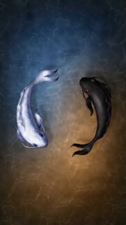 Pisces Zodiac Yin Yang Fish Symbolism Artistic Phone Wallpaper