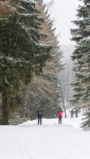 Winter Cross-Country Skiing in Snowy Forest Mobile Wallpaper
