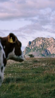 Taurus Earth Element Serenity Mountain Nature Aesthetic Wallpaper