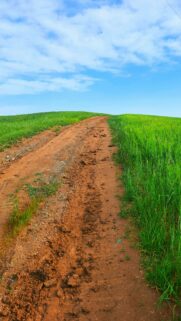 Taurus Earth Element Grounding Path and Zodiac Energy Wallpaper