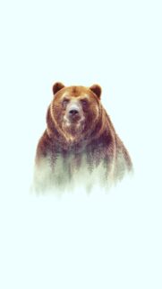 Majestic Grizzly Bear in Forest Wilderness Mobile Wallpaper – High Quality 4K