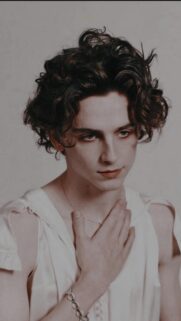 Timothée Chalamet High Definition Mobile Wallpaper | Elegant Portrait Background
