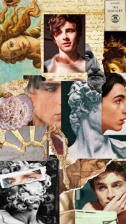 Timothee Chalamet High Quality Mobile Wallpaper – Aesthetic Portrait 4K Background