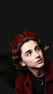 Timothee Chalamet High Quality Mobile Wallpaper – Aesthetic Portrait 4K