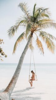 Woman Sitting on Tropical Beach Palm Tree Swing Phone Wallpaper