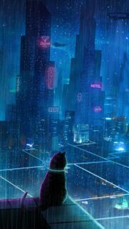 Cyberpunk Cat Looking at Rainy Futuristic Cityscape Wallpaper