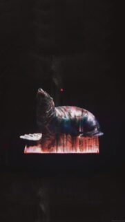 Abstract Glitch Art Seal Surreal Mobile Wallpaper in Dark Tones