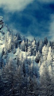 Stunning Snowy Mountain Forest Winter Landscape Mobile Wallpaper