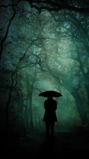 Mysterious Silhouette in Misty Green Forest with Umbrella High Quality Phone Wallpaper